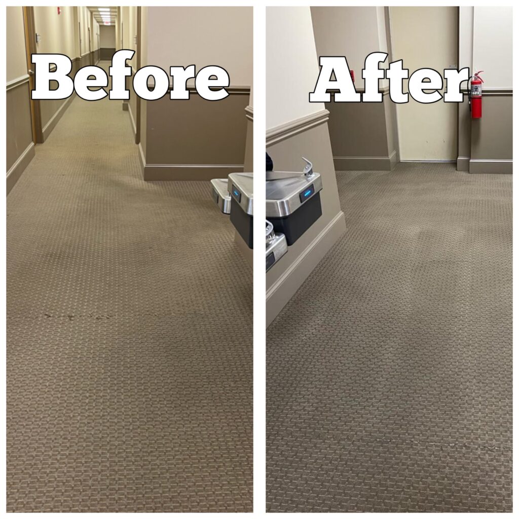 Before and After Carpet Shampoo in Hallway