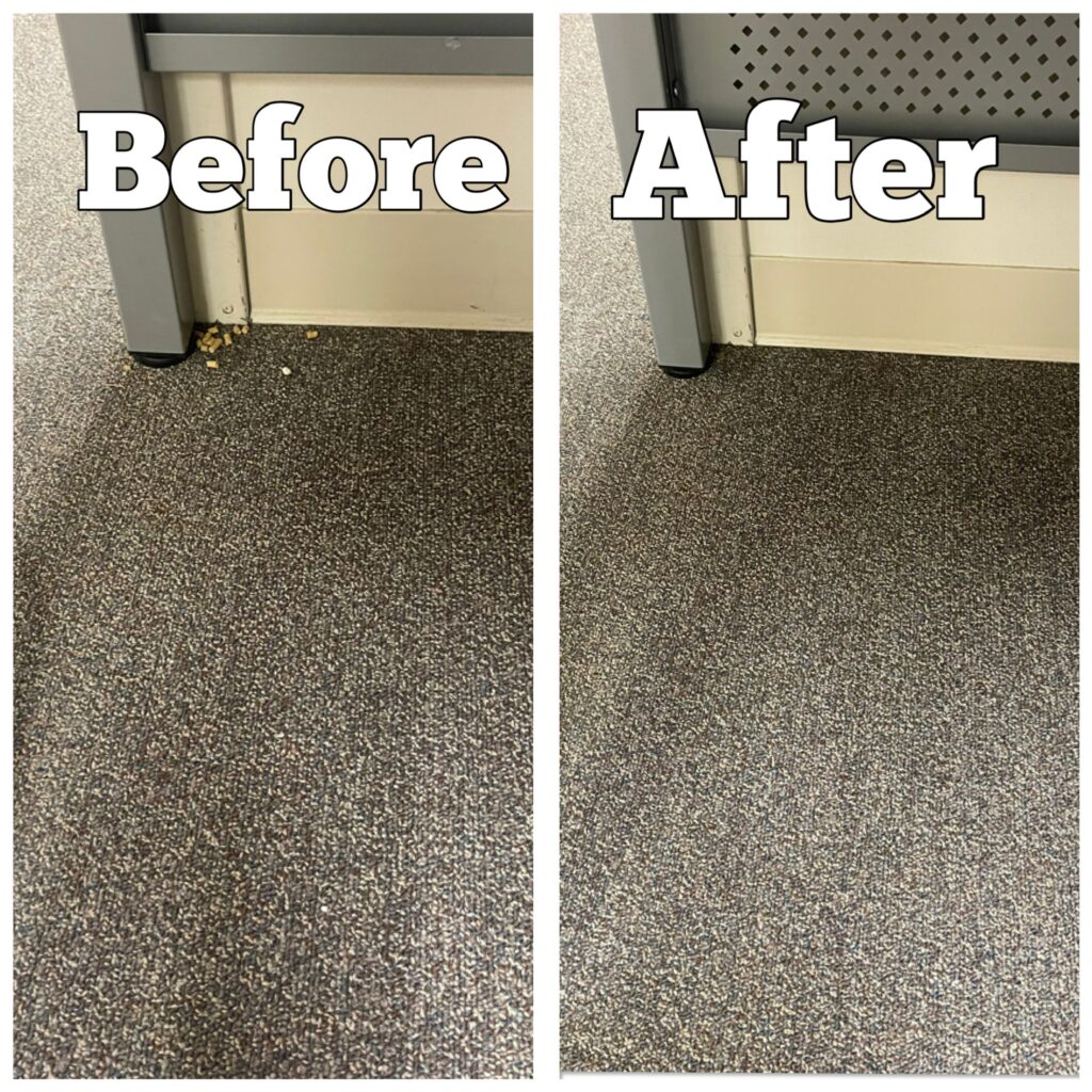 Before and After debris pick up and stain removal from short carpet